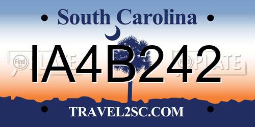 IA4B242 South Carolina License Plate