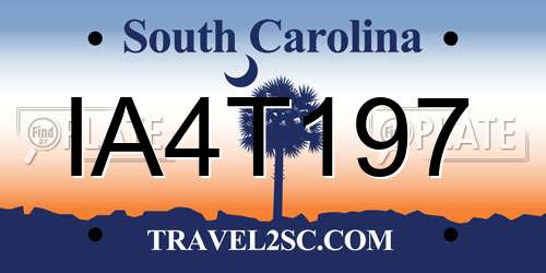 IA4T197 South Carolina License Plate