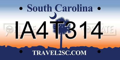 IA4T314 South Carolina License Plate