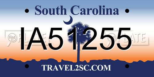 IA51255 South Carolina License Plate