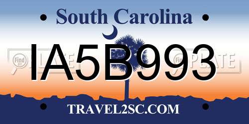 IA5B993 South Carolina License Plate