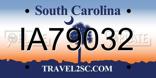 IA79032 South Carolina License Plate