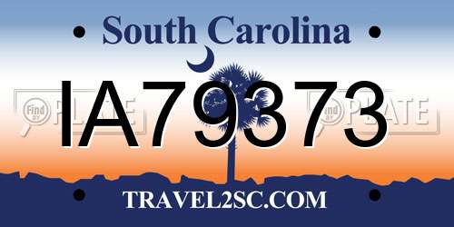 IA79373 South Carolina License Plate