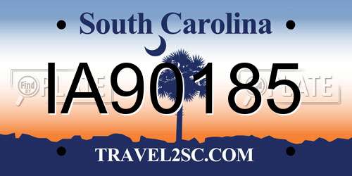 IA90185 South Carolina License Plate