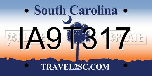 IA9T317 South Carolina License Plate