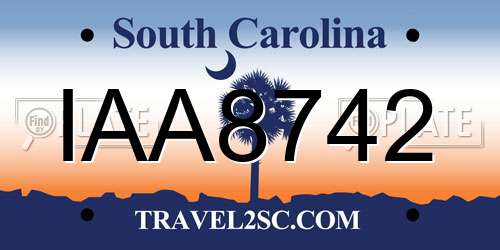 IAA8742 South Carolina License Plate
