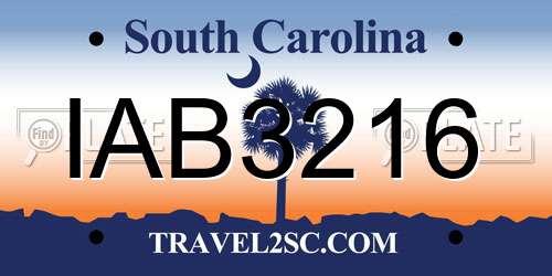 IAB3216 South Carolina License Plate