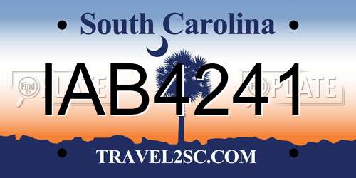 IAB4241 South Carolina License Plate