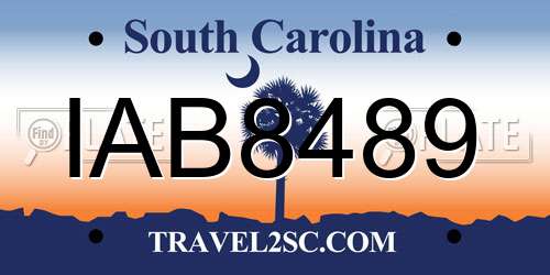 IAB8489 South Carolina License Plate