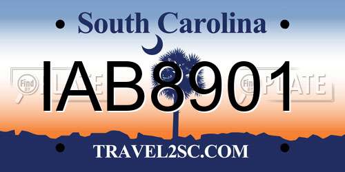 IAB8901 South Carolina License Plate