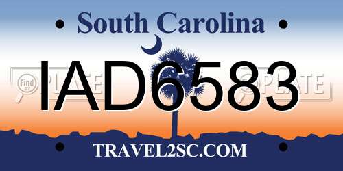 IAD6583 South Carolina License Plate