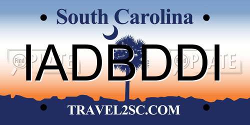 IADBDDI South Carolina License Plate