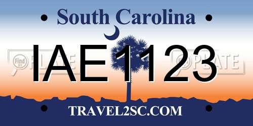 IAE1123 South Carolina License Plate