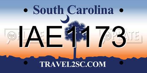 IAE1173 South Carolina License Plate