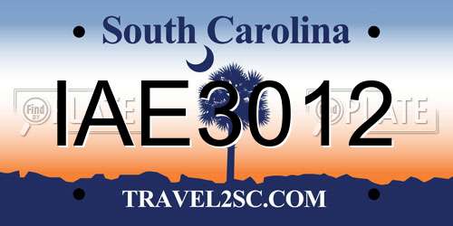 IAE3012 South Carolina License Plate