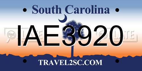 IAE3920 South Carolina License Plate