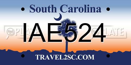 IAE524 South Carolina License Plate