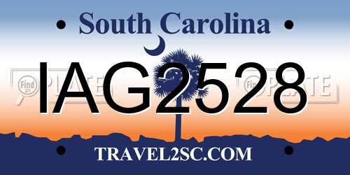 IAG2528 South Carolina License Plate