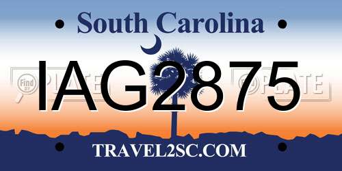IAG2875 South Carolina License Plate