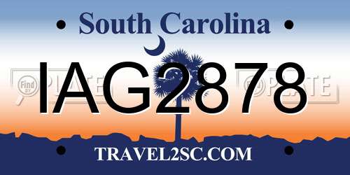 IAG2878 South Carolina License Plate