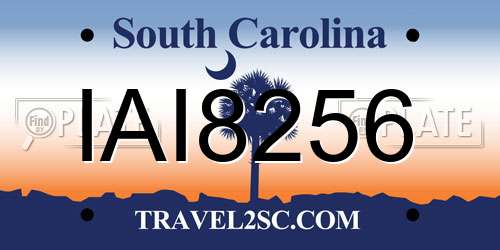 IAI8256 South Carolina License Plate
