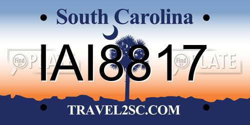 IAI8817 South Carolina License Plate