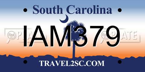IAM379 South Carolina License Plate