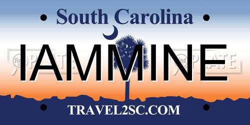 IAMMINE South Carolina License Plate