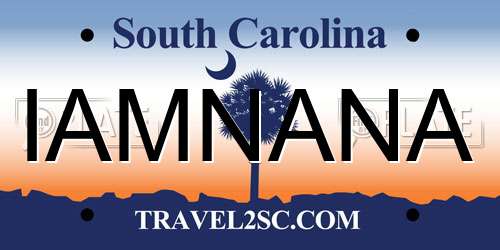 IAMNANA South Carolina License Plate