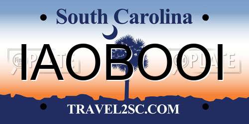 IAOBOOI South Carolina License Plate