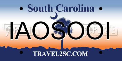 IAOSOOI South Carolina License Plate