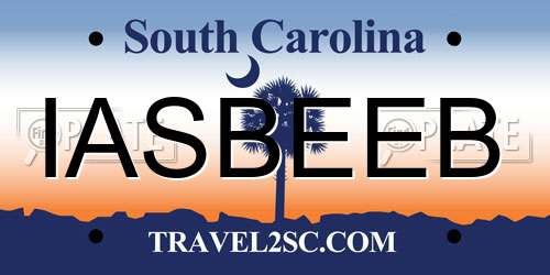 IASBEEB South Carolina License Plate
