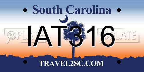 IAT316 South Carolina License Plate