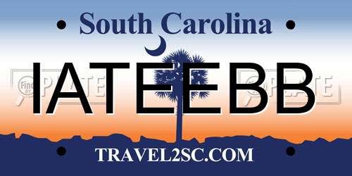IATEEBB South Carolina License Plate