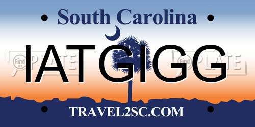 IATGIGG South Carolina License Plate