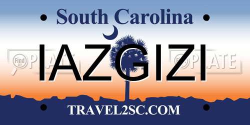 IAZGIZI South Carolina License Plate