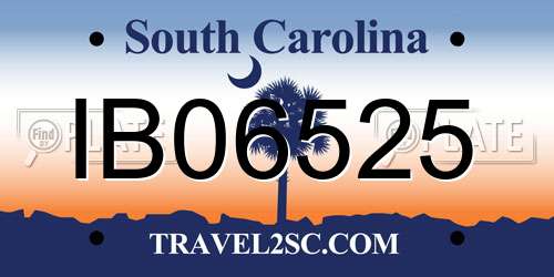 IB06525 South Carolina License Plate
