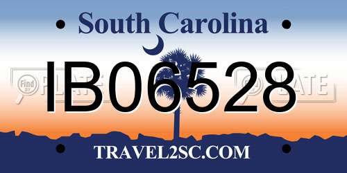 IB06528 South Carolina License Plate