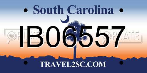 IB06557 South Carolina License Plate