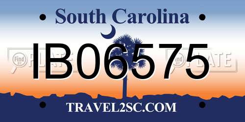 IB06575 South Carolina License Plate