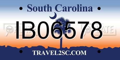 IB06578 South Carolina License Plate