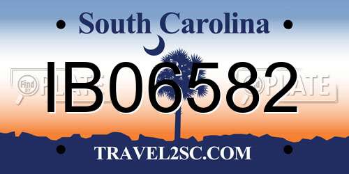 IB06582 South Carolina License Plate