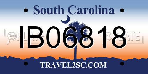 IB06818 South Carolina License Plate