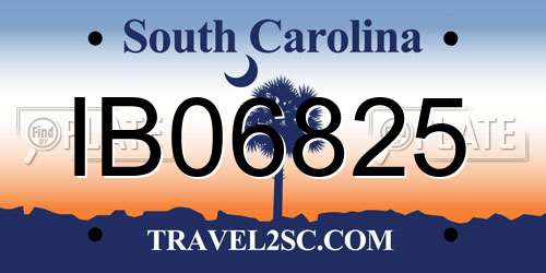 IB06825 South Carolina License Plate