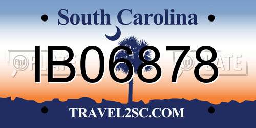 IB06878 South Carolina License Plate