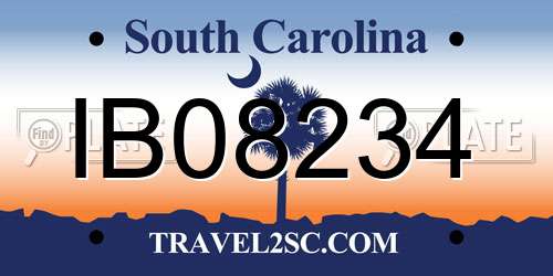 IB08234 South Carolina License Plate