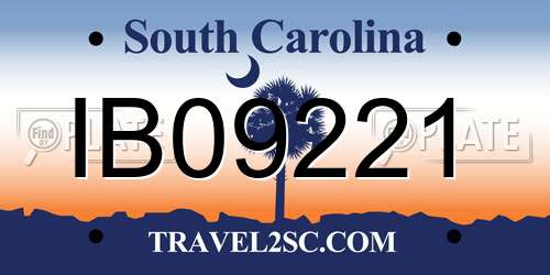 IB09221 South Carolina License Plate