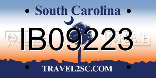 IB09223 South Carolina License Plate
