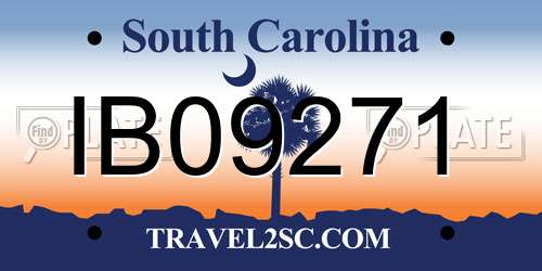IB09271 South Carolina License Plate