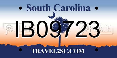 IB09723 South Carolina License Plate